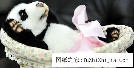 家居風景：窗臺擺上美好愿望