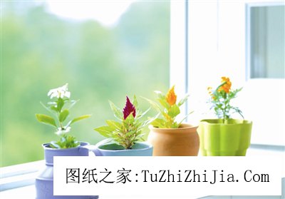 哪些風景容易讓老公有外遇？