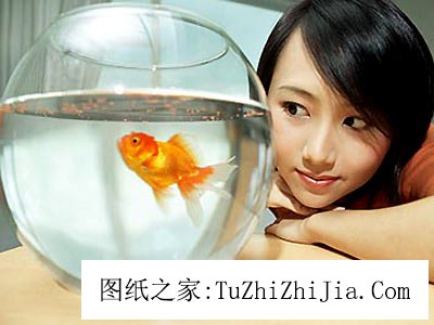 客廳養(yǎng)魚風(fēng)景禁忌 魚缸千萬不能蓋蓋子