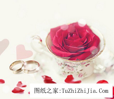 婚禮喜慶風(fēng)景宜忌 新房咋布置？