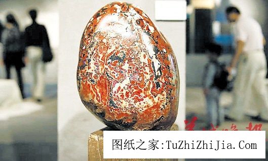 家居風景：鎮宅之寶助安居