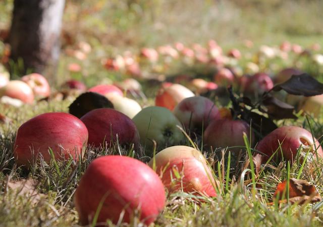 鄉(xiāng)村別墅設(shè)計與農(nóng)村別墅設(shè)計，差距不止有6點！