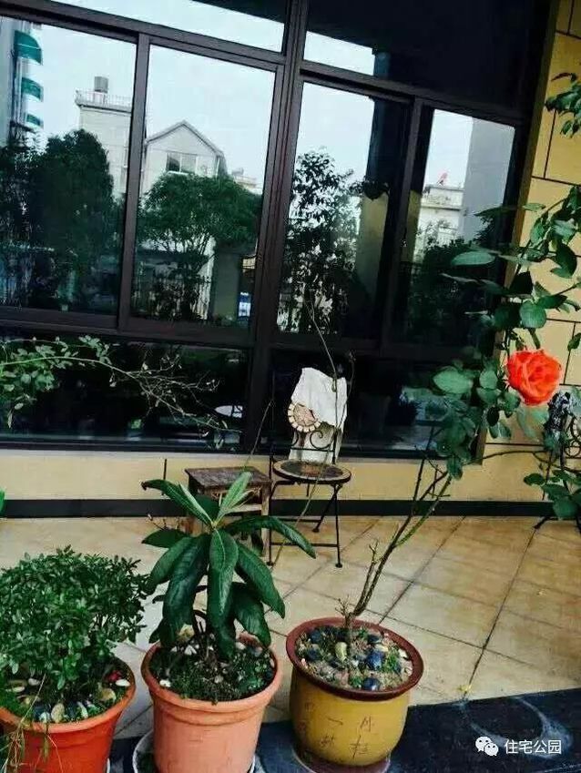 朋友曬美宅，96萬建流水花園別墅、舒適庭院！要多沒有多美！