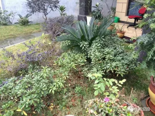 朋友曬美宅，96萬建流水花園別墅、舒適庭院！要多沒有多美！