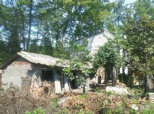 建別墅還是新中式的好，古樸大氣品位高！網(wǎng)友實拍