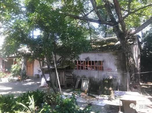 建別墅還是新中式的好，古樸大氣品位高！網(wǎng)友實拍