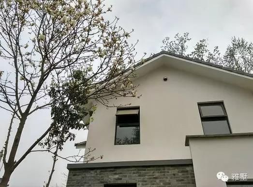 建別墅還是新中式的好，古樸大氣品位高！網(wǎng)友實拍