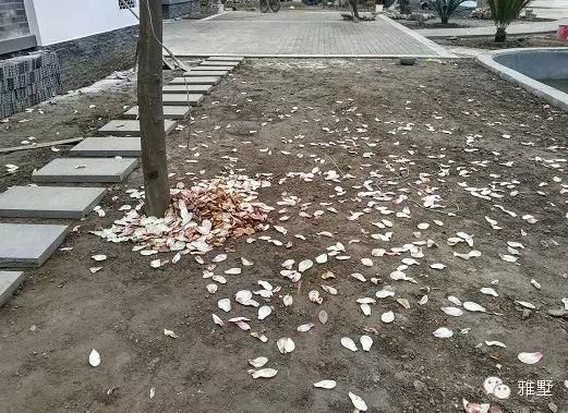 建別墅還是新中式的好，古樸大氣品位高！網(wǎng)友實拍