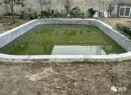 建別墅還是新中式的好，古樸大氣品位高！網(wǎng)友實拍