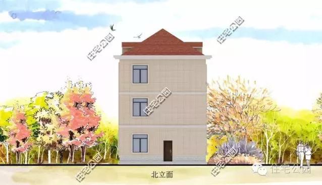 8米的面寬怎樣建獨棟小別墅？還帶有挑空客廳、大露臺