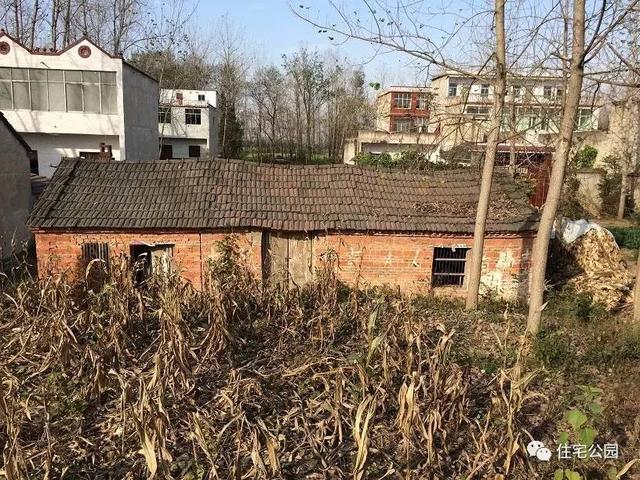 80后小伙千里歸家建新房，力求完美換掉施工隊，只是為了面子？