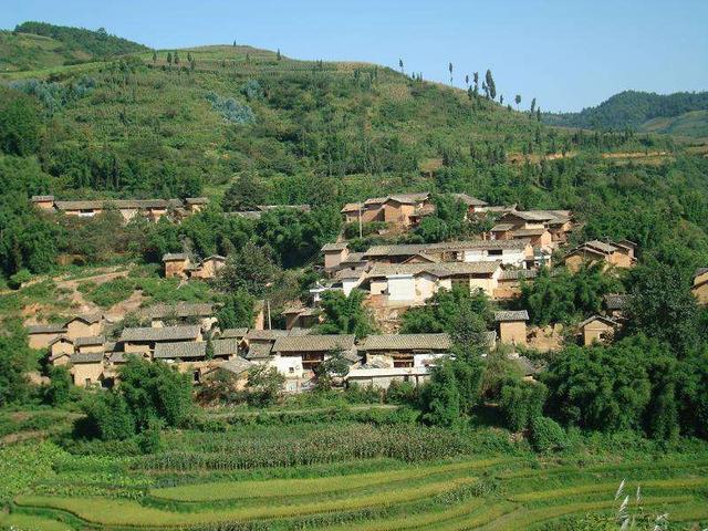 云南35歲單身劉先生。你媽喊你回家建別墅了!