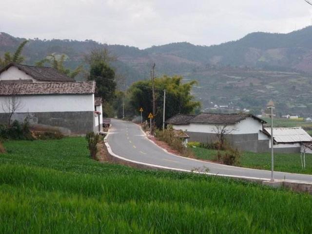 云南35歲單身劉先生。你媽喊你回家建別墅了!