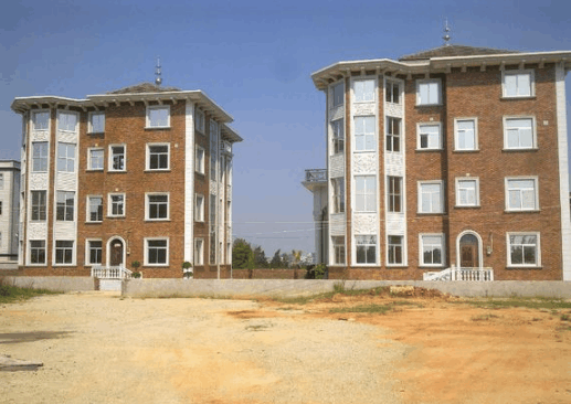 農(nóng)村也可以很土豪, 這個(gè)地方的農(nóng)村人住的都是豪華別墅！