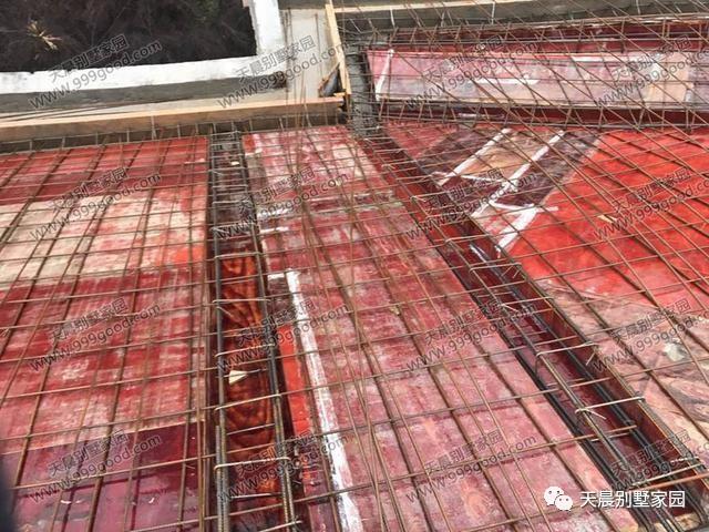 自從蓋了這套歐式別墅設(shè)計(jì)，親戚鄰居來的就勤了！