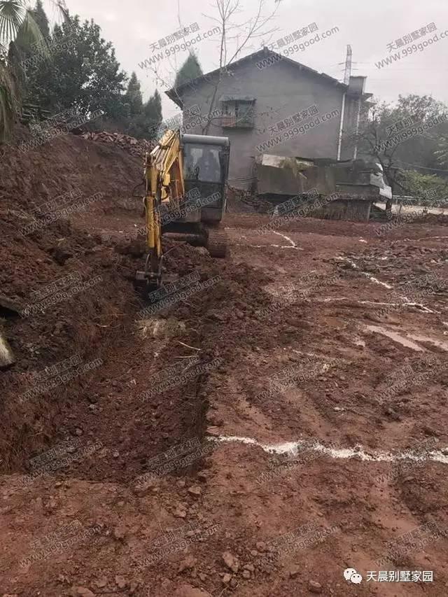 自從蓋了這套歐式別墅設(shè)計(jì)，親戚鄰居來的就勤了！