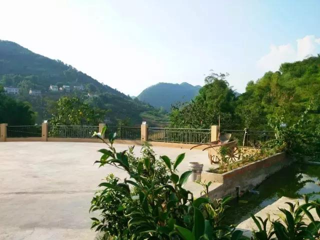 主體30萬建出來的農村小別墅竟然長這樣，真是360度無死角！