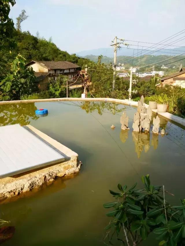 主體30萬建出來的農村小別墅竟然長這樣，真是360度無死角！