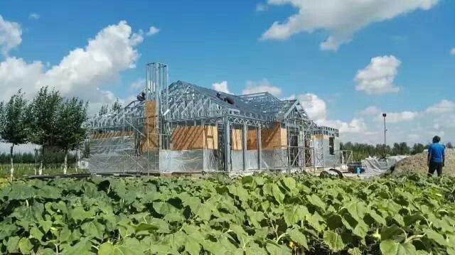 北方農村自建單層小別墅設計圖，美到不能呼吸！