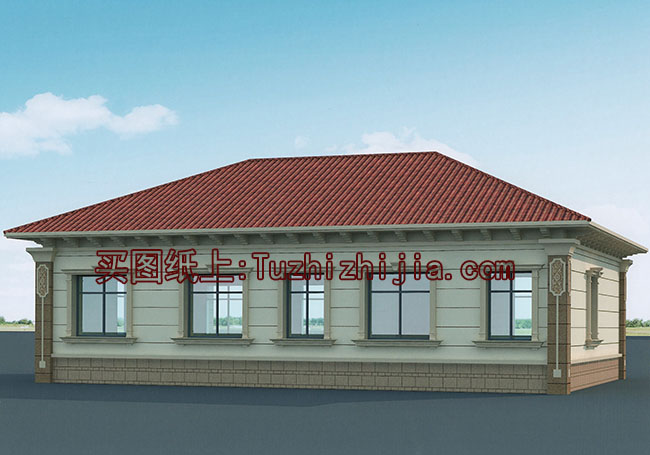 時尚一層別墅圖,一層這樣蓋房最漂亮