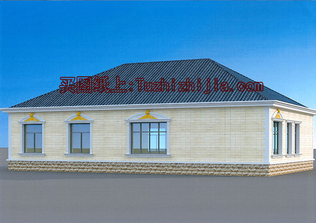 大面積農村一層房子設計圖,戶型實用、合理