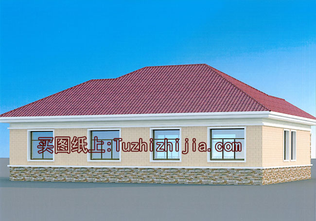 農村200平一層別墅房屋設計圖，外觀圖片時尚、漂亮