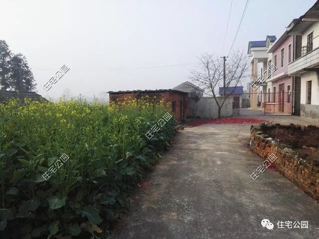 湖南農村建別墅實錄，20萬建成主體，讓城里買房的羨慕吧【多圖】