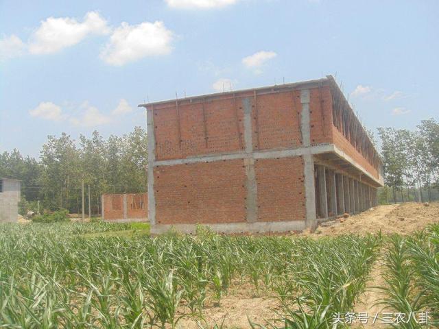 農(nóng)村自建房的注意啦，違法自建房可能會(huì)被沒收