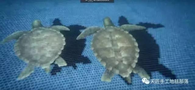 全球頂級(jí)豪宅圖片，有錢(qián)都不一定能買(mǎi)到