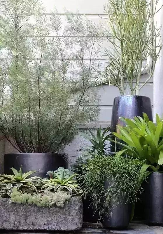 打造個漂亮的別墅庭院，才能有別墅的樣子