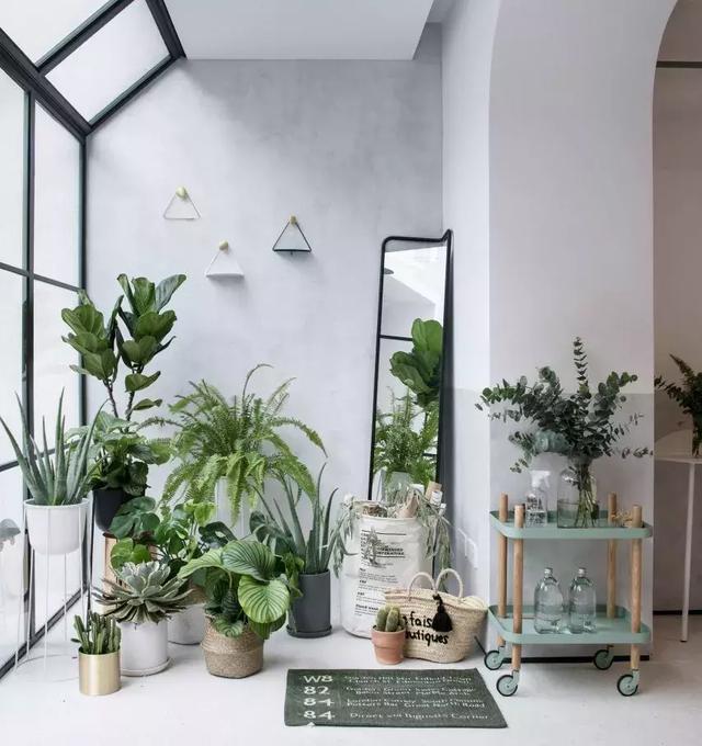 上海舊房改造實拍，搖身一變成清新別墅