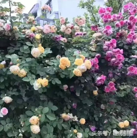 農村簡單二層住宅實拍圖，附室內裝修，造價低