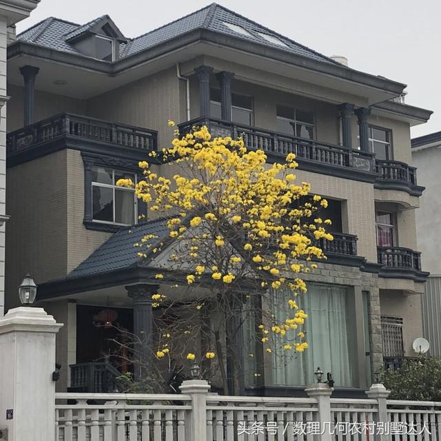 新農村自建的3層樓房，在城市1000萬都買不到