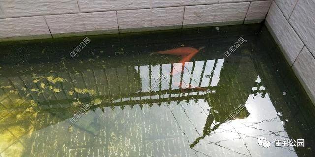 湖南農村蓋別墅過程實拍，附方案圖和建好實景照片