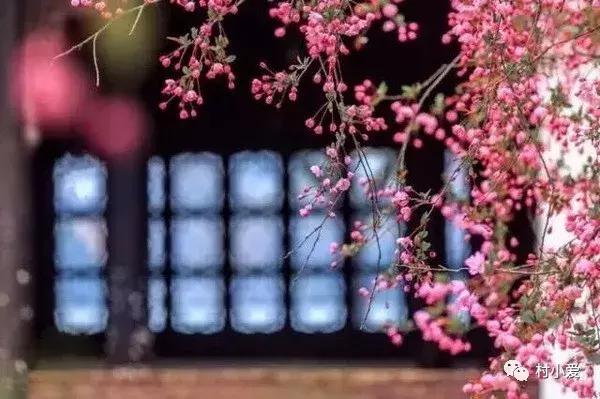 24x14m歐式鄉村別墅設計方案圖，高端、大氣