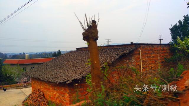 2026年農村宅基地賣給外地人，還能收不回來嗎