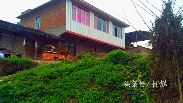 2026年農村宅基地賣給外地人，還能收不回來嗎