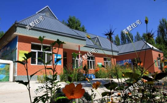 5款建好的農村住房外觀實拍圖，一個比一個好看