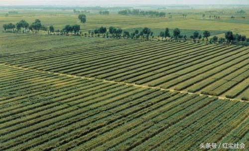 農(nóng)民朋友要注意，這些地方不能隨意自建房