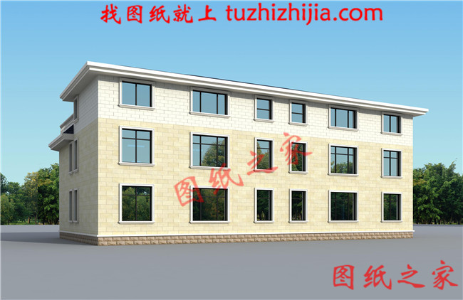 農村二層半雙拼別墅設計圖，客廳中空，帶大露臺