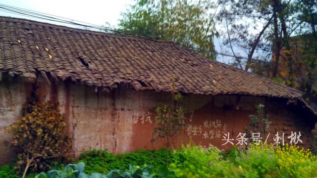 2026農(nóng)村在老宅基地上自建房有哪些新要求？