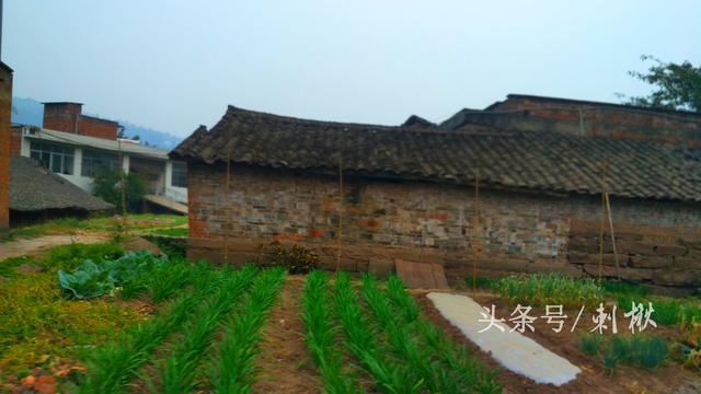 2026農(nóng)村在老宅基地上自建房有哪些新要求？