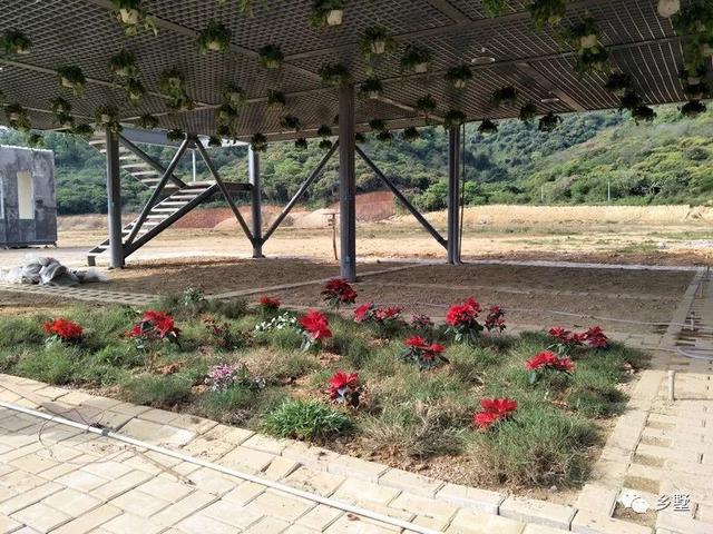 農莊設計方案圖，建好的實拍圖更漂亮