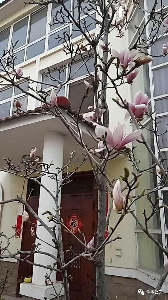 40萬就能建的豪華別墅，全村人都會過來巴結你