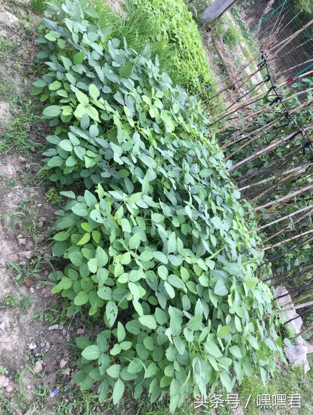 85后小伙子在外地打拼10年回農村老家給爸媽蓋的小別墅~