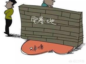 農村自建房如何申請宅基地？