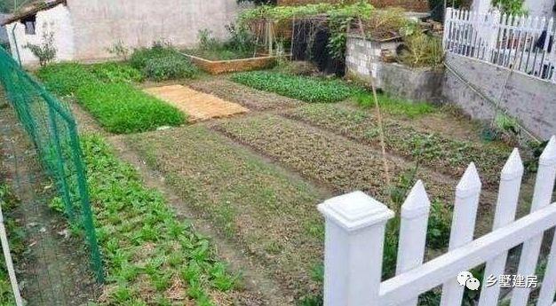 90后小夫妻逃離一線城市，回農(nóng)村自建別墅