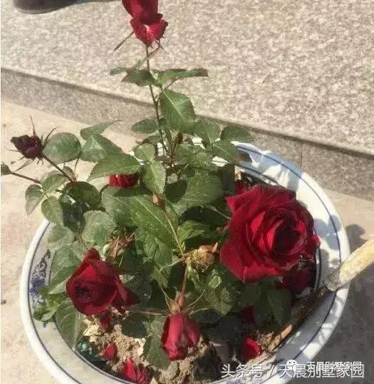 曬曬農村自建的2層小樓，帶裝修50萬搞定，看看值嗎？