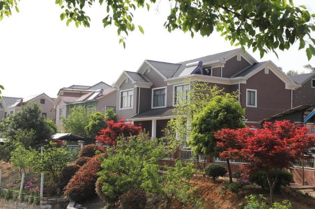 實拍浙江農村，家家戶戶都是小別墅，令城里人羨慕