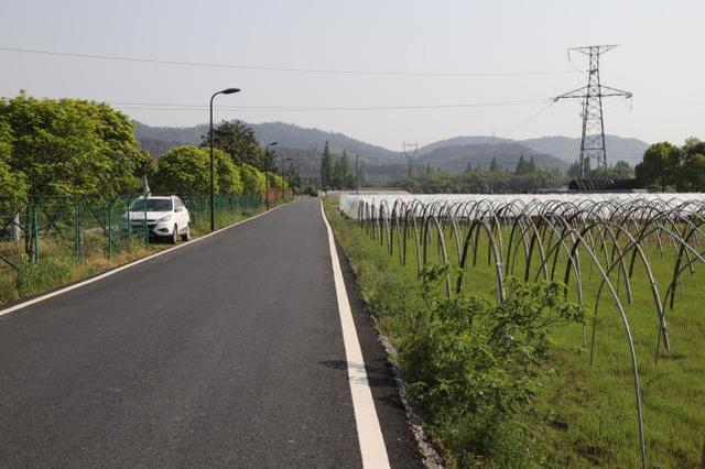 實拍浙江農村，家家戶戶都是小別墅，令城里人羨慕